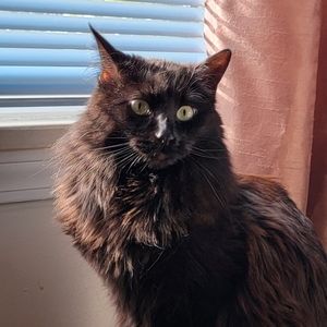 Meet your Posher, Lindsey